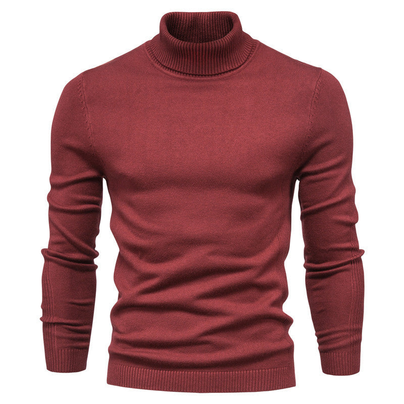 Gstaad Fall Turtleneck